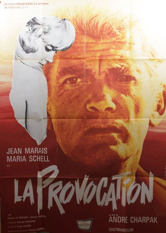 The Provocation poster
