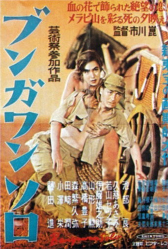 Bengawan Solo poster
