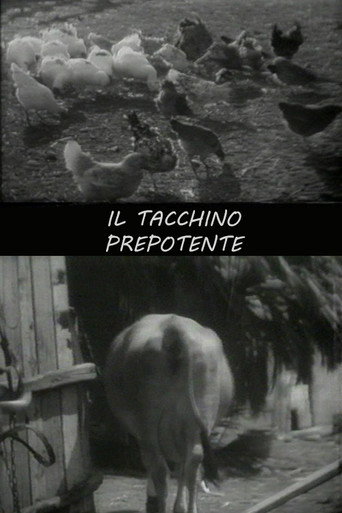 Il tacchino prepotente poster