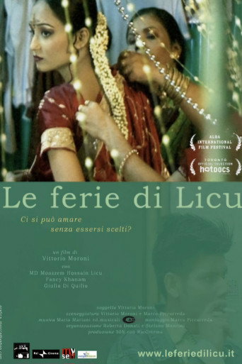 Licu's holidays poster