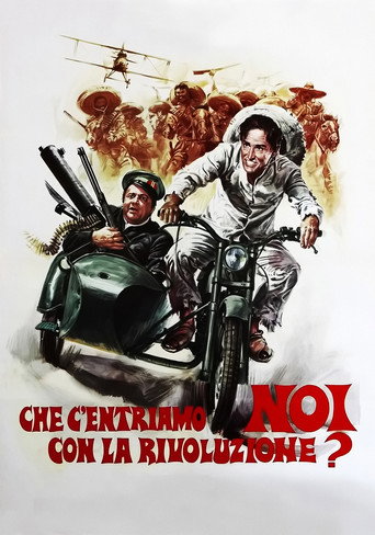 What Am I Doing in the Middle of the Revolution? poster